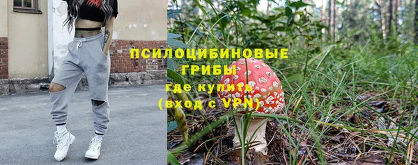 apvp Бабаево