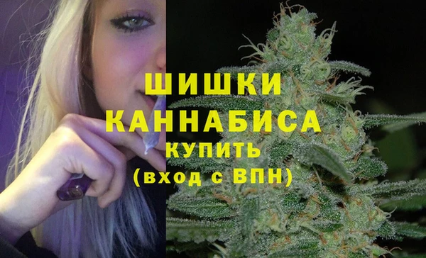 ECSTASY Аша