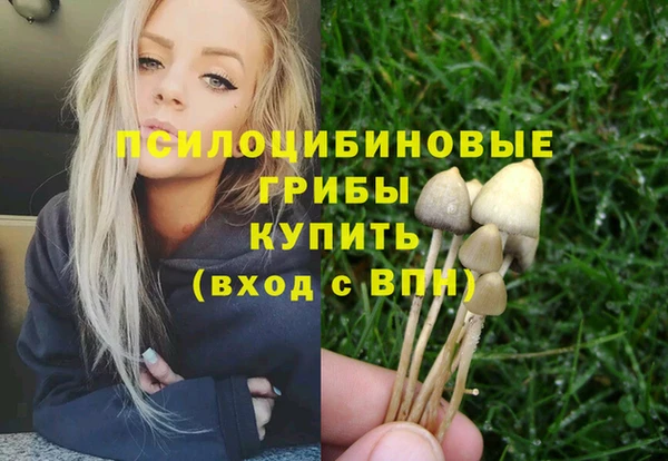 дживик Козельск