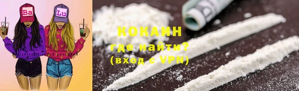 ECSTASY Аша