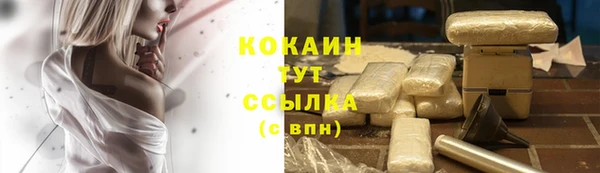 мет Козловка