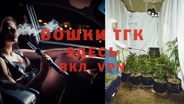 дживик Козельск