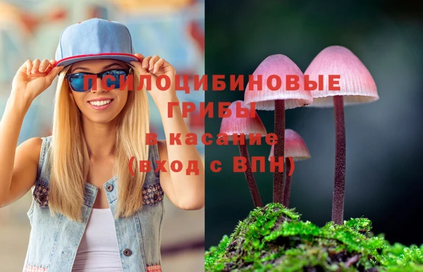 apvp Бабаево